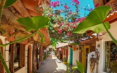 Por que visitar o Ceará?