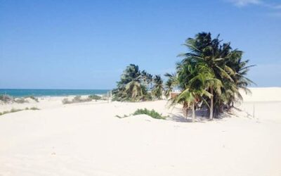 Conhecendo a Praia da Barrinha no Ceará